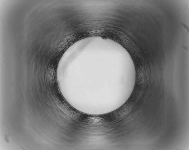 X0000102470654200808291605