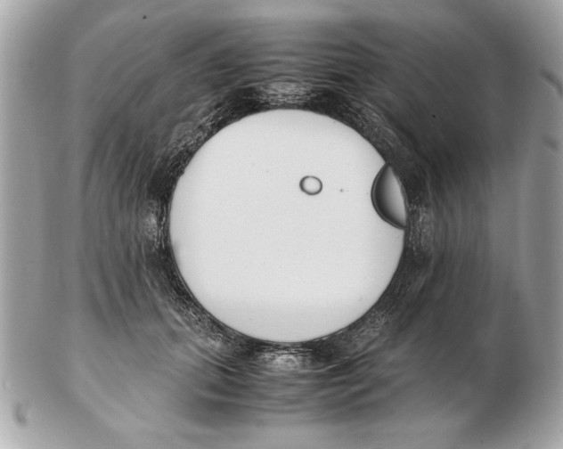X0000102470655200808291605