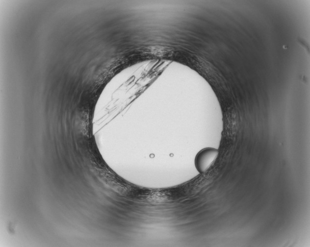 X0000102470656200808291605