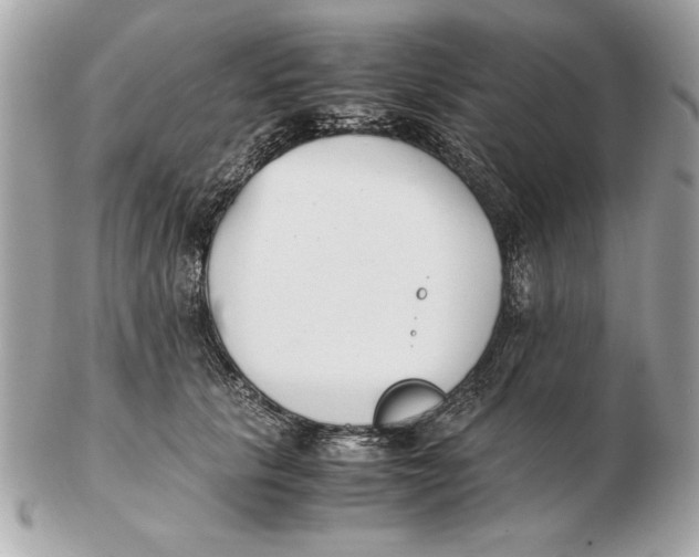 X0000102470657200808291605