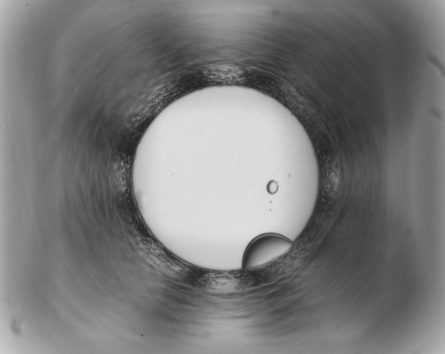 X0000102470658200808291605