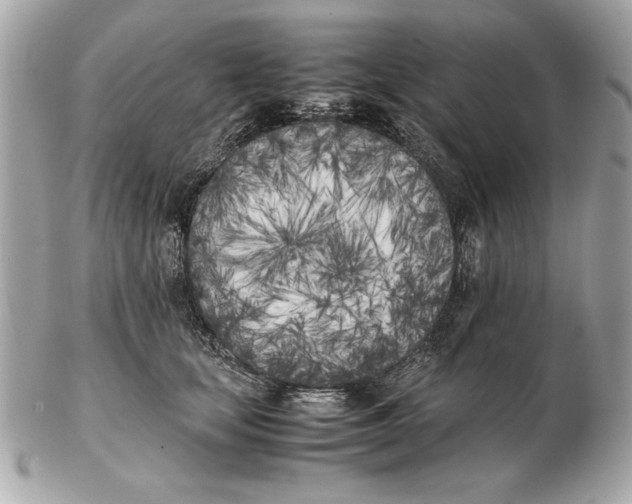 X0000102470659200808291605