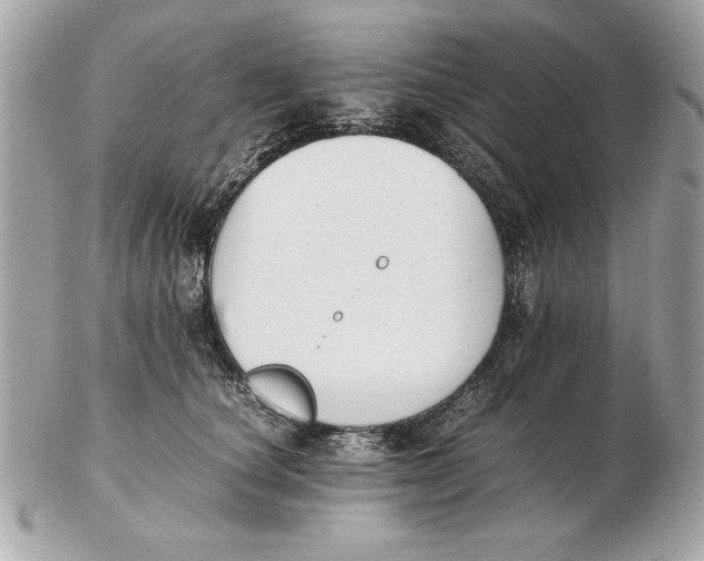 X0000102470660200808291605