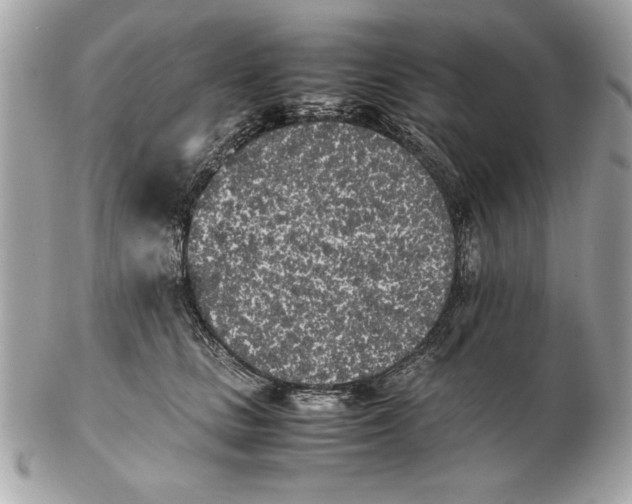X0000102470661200808291605