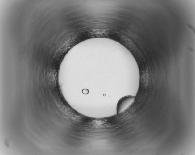 X0000102470662200808291605