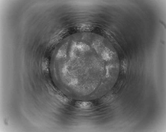 X0000102470663200808291606