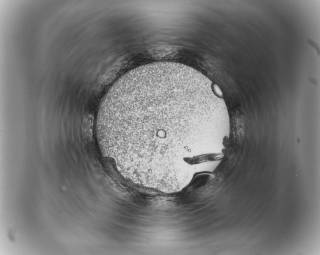X0000102470664200808291606