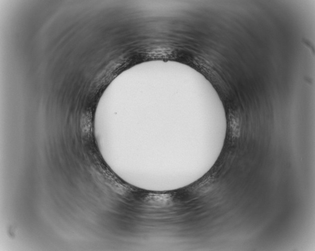 X0000102470665200808291606