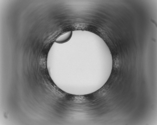 X0000102470666200808291606