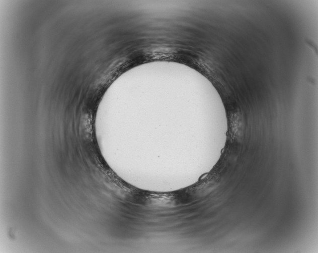 X0000102470667200808291606
