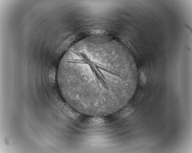 X0000102470668200808291606