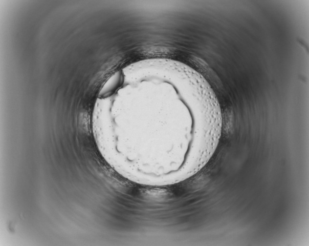 X0000102470669200808291606