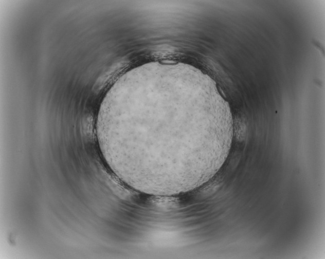 X0000102470670200808291606