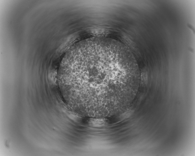 X0000102470671200808291606
