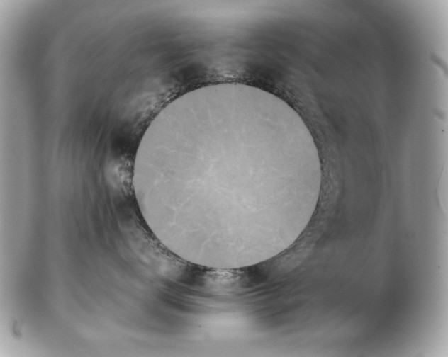 X0000102470672200808291606