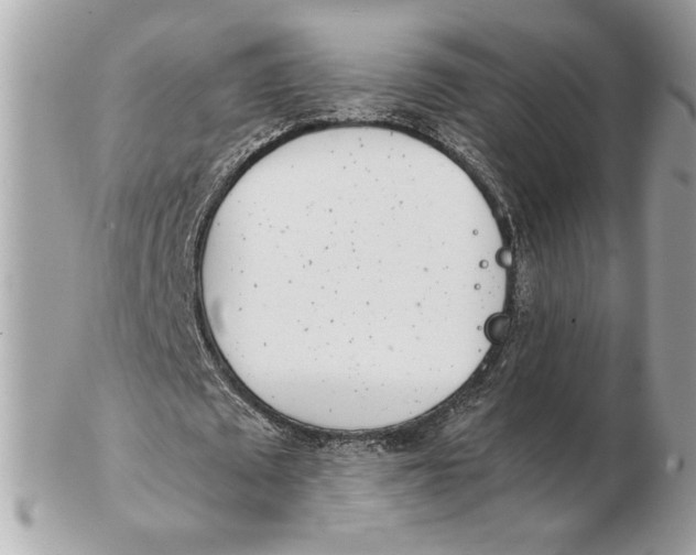 X0000102470673200808291605