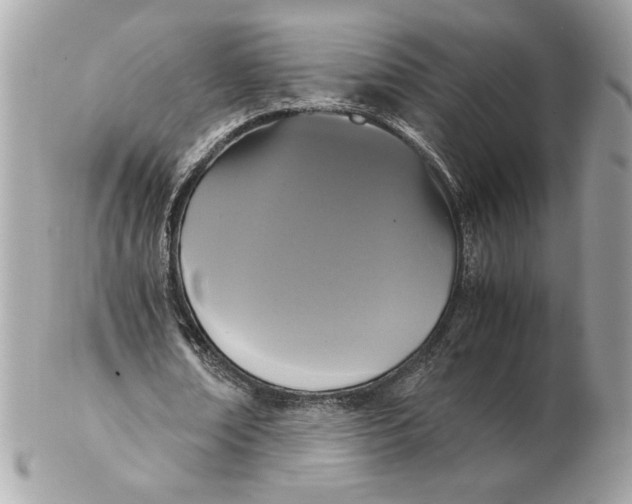 X0000102470674200808291605