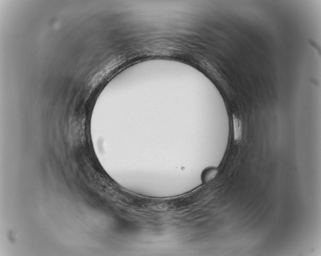X0000102470675200808291605