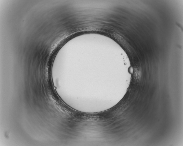 X0000102470676200808291605