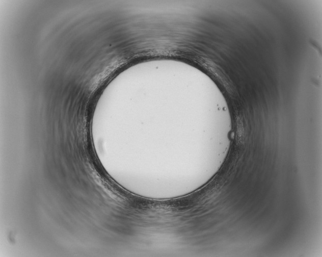 X0000102470677200808291605
