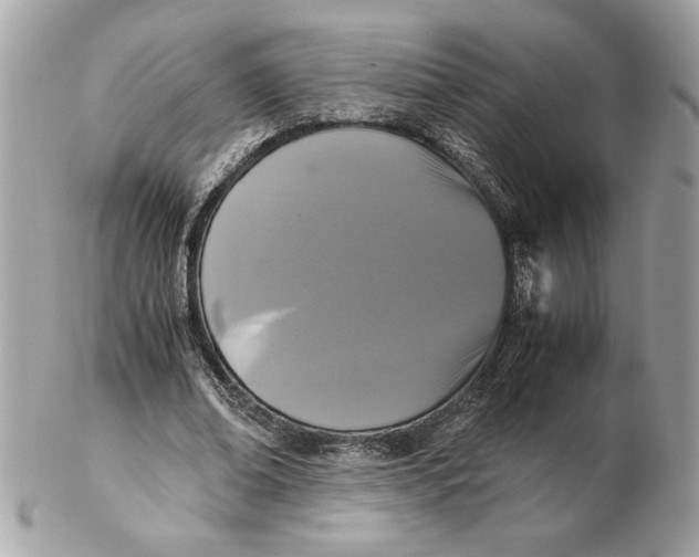 X0000102470678200808291605