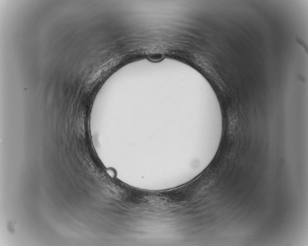 X0000102470681200808291605
