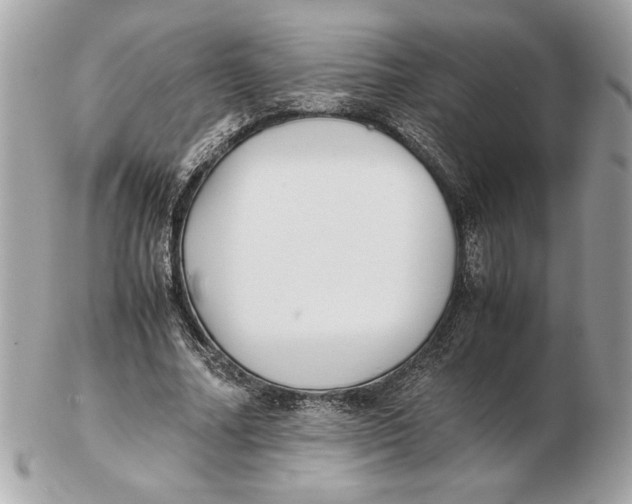 X0000102470682200808291605