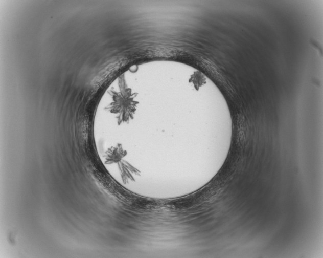 X0000102470683200808291605