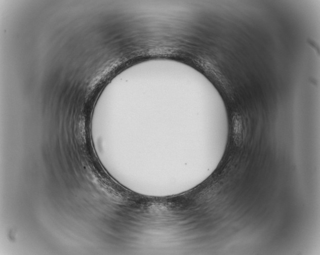 X0000102470684200808291605