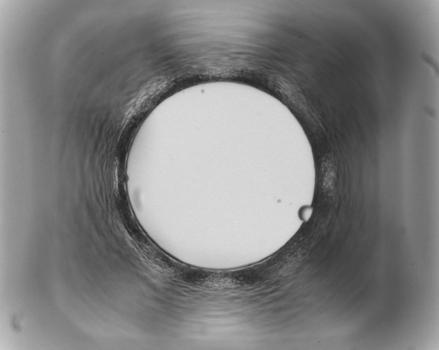 X0000102470685200808291605
