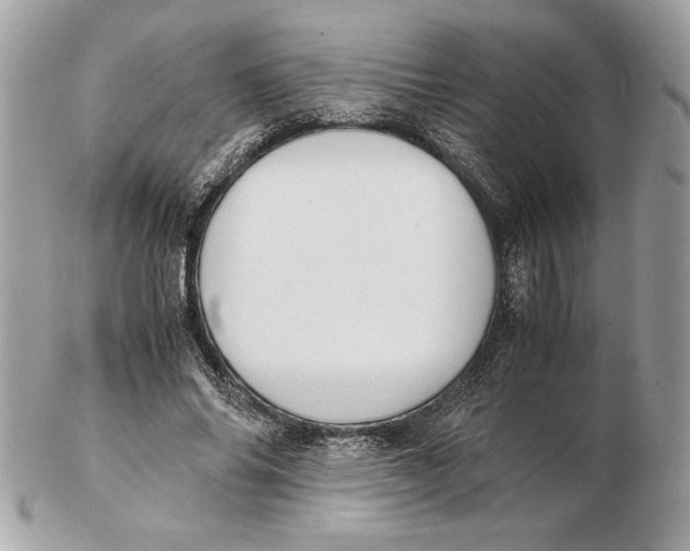 X0000102470686200808291605