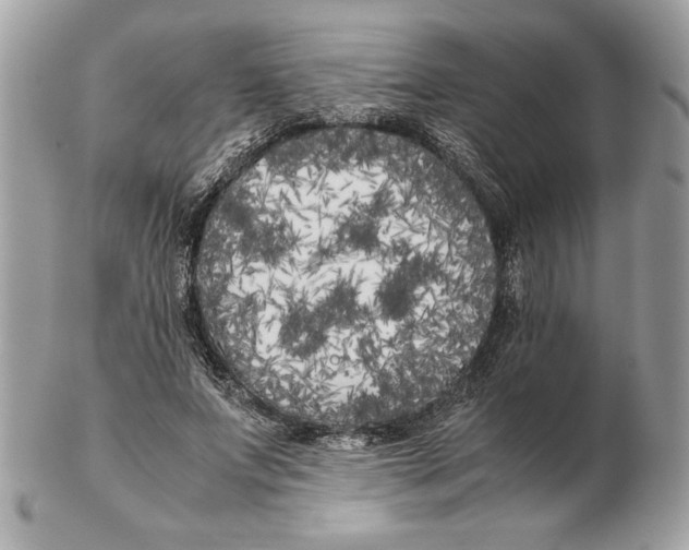 X0000102470687200808291605