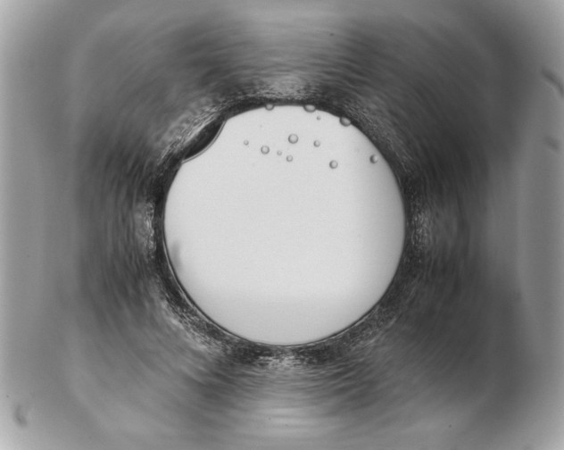 X0000102470688200808291605