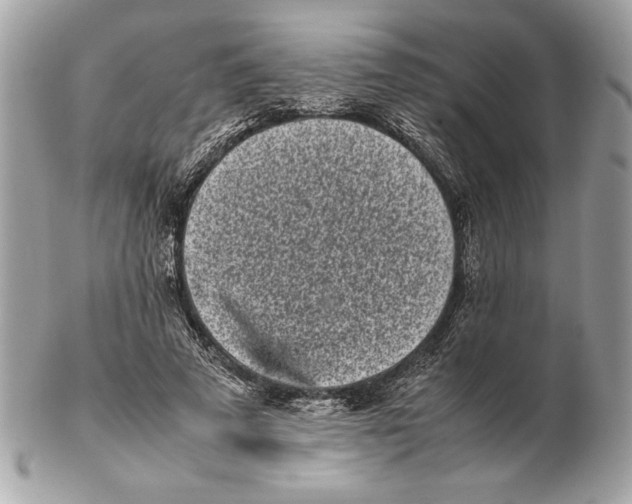 X0000102470689200808291605