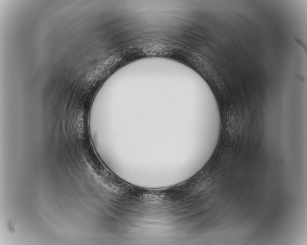 X0000102470690200808291605