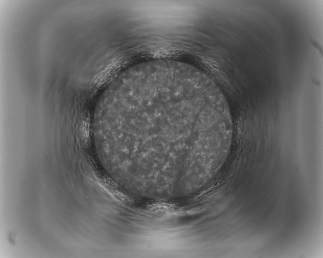 X0000102470691200808291605