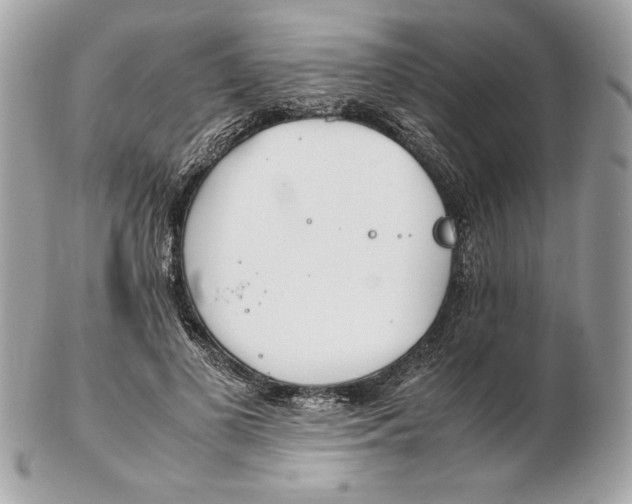 X0000102470693200808291605