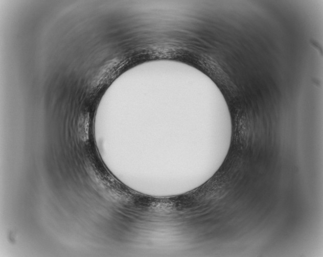 X0000102470694200808291605