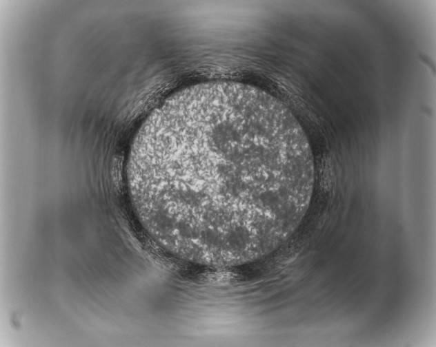 X0000102470695200808291605