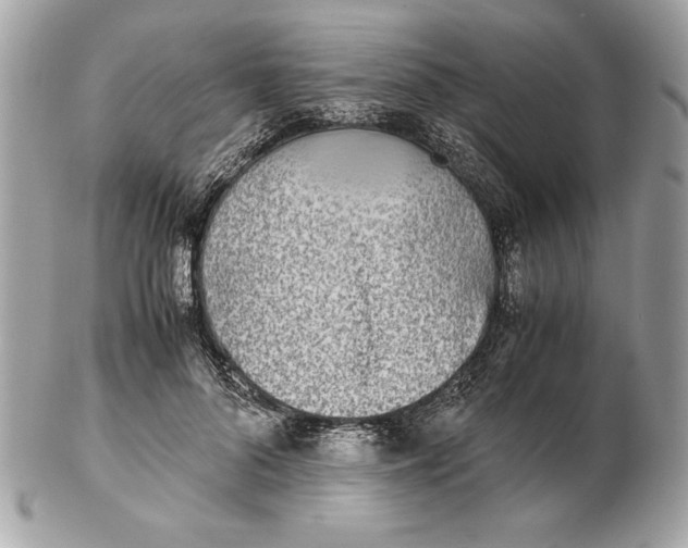 X0000102470696200808291605
