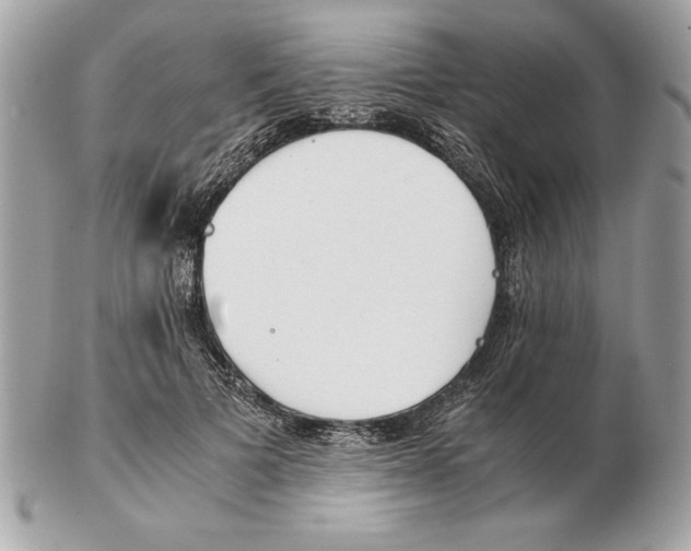X0000102470697200808291605