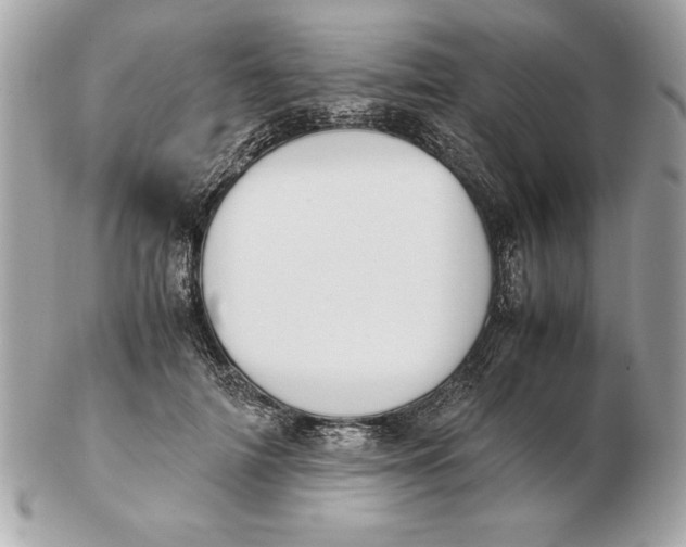 X0000102470698200808291605