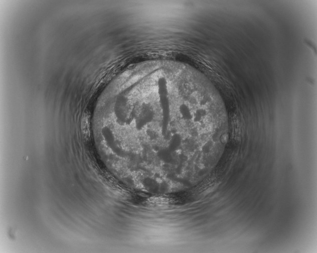 X0000102470699200808291605
