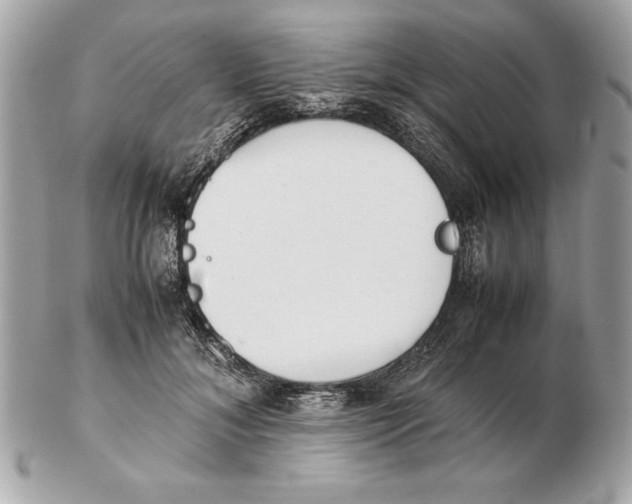 X0000102470700200808291604