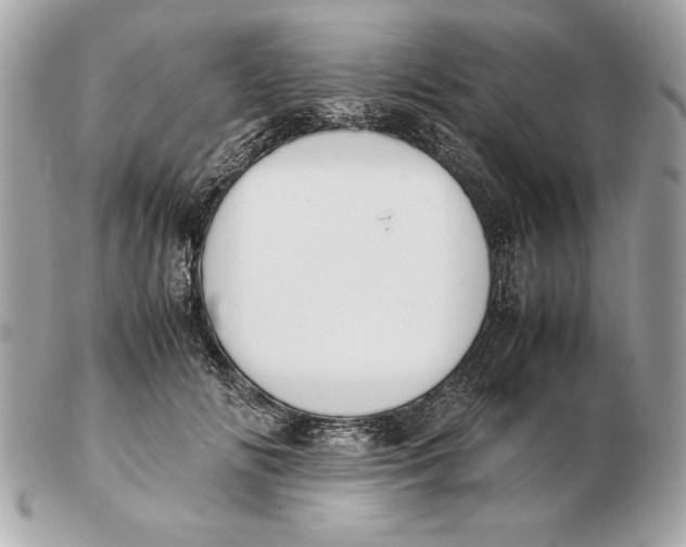 X0000102470702200808291604
