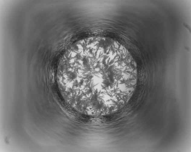 X0000102470703200808291604