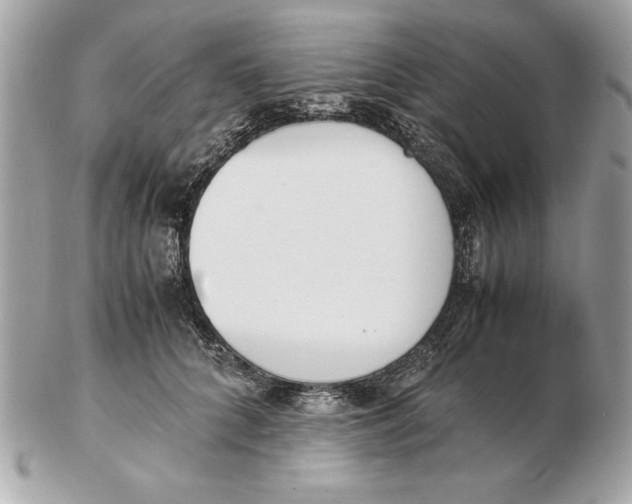 X0000102470704200808291604