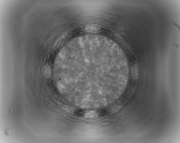 X0000102470705200808291604