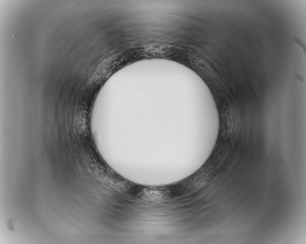 X0000102470706200808291604