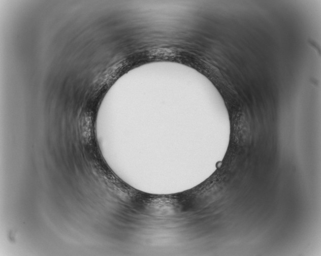 X0000102470708200808291604